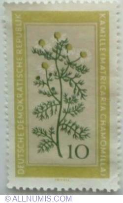 10 Pfennig 1960 - Chamomile (Matricaria chamomilla)