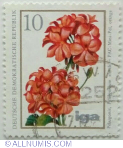 10 Pfennig 1975 - Geranium (Pelargonium zonal)