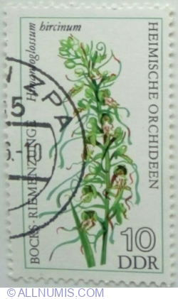 10 Pfennig 1976 - Lizard Orchid (Himantoglossum hircinum)