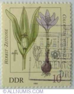 10 Pfennig 1982 - Colchicum autumnale