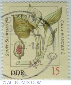 15 Pfennig 1982 - Calla palustris