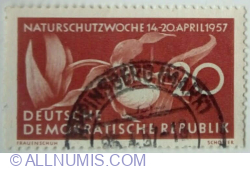 20 Pfennig 1957 - Lady's Slipper Orchid (Cypripedium calceolus)