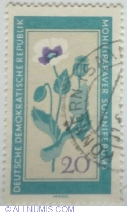 20 Pfennig 1960 - Opium Poppy (Papaver somniferum)