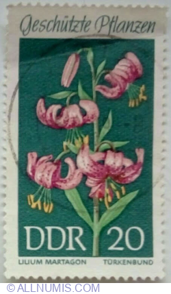 20 Pfennig 1969 - Martagon Lily (Lilium martagon)
