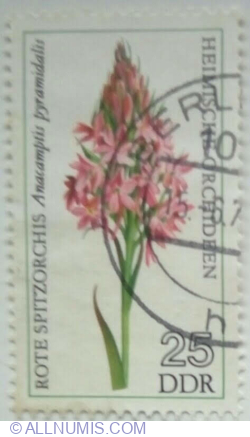 25 Pfennig 1976 - Pyramidal Orchid (Anacamptis pyramidalis)