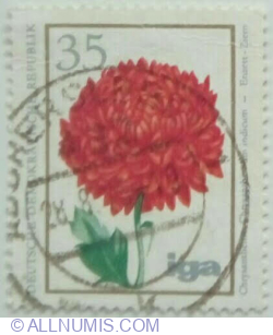 35 Pfennig 1975 - Indian Chrysanthemum (Chrysanthemum indicum)