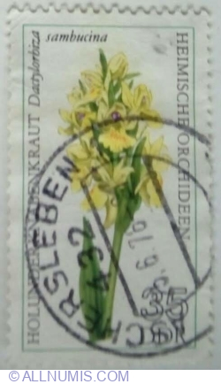 35 Pfennig 1976 - Elder-flowered Orchid (Dactylorhiza sambucina)