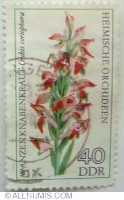 40 Pfennig 1976 - Bug Orchid (Orchis coriophora)