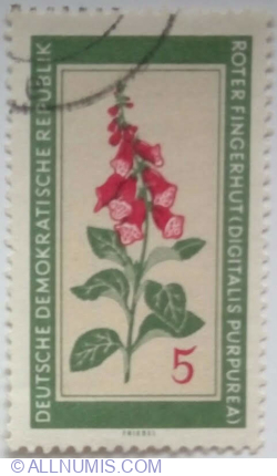5 Pfennig 1960 - Purple Foxglove (Digitalis purpurea)