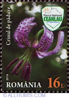 16 Lei - Crinul de padure (Lilium martagon)