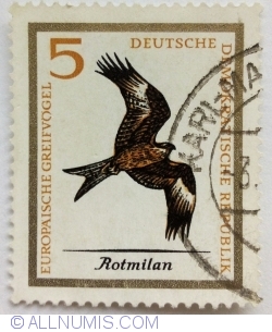Image #1 of 5 Pfennig - Red Kite (Milvus milvus)