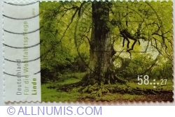 58 + 27 Eurocent 2013 - Lime Tree