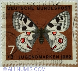 7+3 Pfennig 1962 - Apollo (Parnassius apollo)