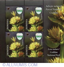 Image #1 of 4 x 1.60 Lei - Great Yellow Gentian (Gentiana lutea)