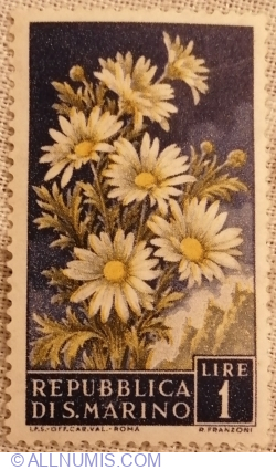 Image #1 of 1 Liră 1957 - Daisies