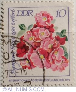 Image #1 of 10 Pfennig 1972 - Bergers Rose iga Erfurt