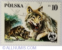Image #1 of 10 Zloty 1985 - Female Wolf and Cubs (Canis lupus)