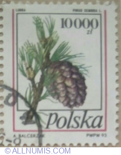 10.000 Zloty 1993 - Swiss Pine (Pinus cembra)