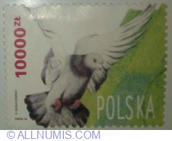 Image #1 of 10.000 Zloty 1994 - Polish Carrier Pigeon (Columba livia forma domestica)