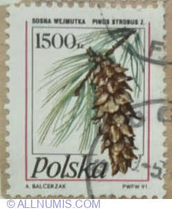 Image #1 of 1.500 Zloty 1991 - Eastern White Pine (Pinus strobus)