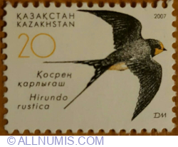 Image #1 of 20 Tenge 2007 - Barn Swallow (Hirundo rustica)