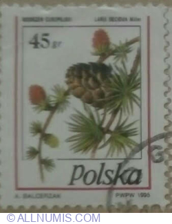 Image #1 of 45 Groszy 1995 - European Larch (Larix decidua)