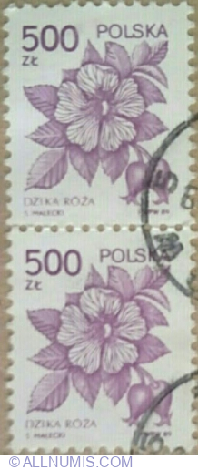 500 Zloty 1989 - Wild Rose (Rosa canina)