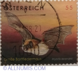 Image #1 of 55 Eurocent 2007 - Brandt's Myotis (Myotis brandtii)