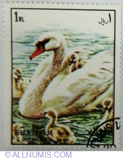 Image #1 of 1 Riyal 1972 - Mute Swan (Cygnus olor)