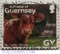 GY º 2014 - The Little Chapel, Guernsey Cow (Bos primigenius taurus)