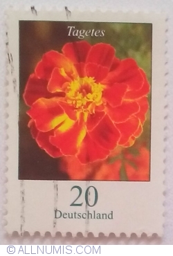 20 Euro Cent 2005 - Tagetes