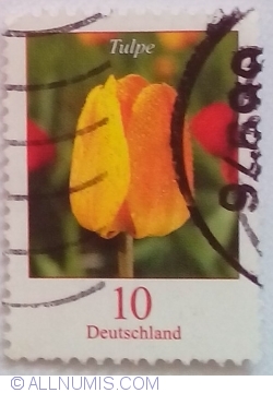 10 Cents - Tulipe