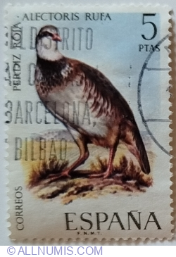 5 Pesetas 1971 - Red-legged Partridge (Alectoris rufa)