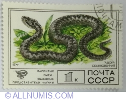Image #1 of 1 Kopek 1977 - Common Viper (Vipera berus)