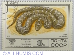 Image #1 of 6 Kopek 1977 - Saw-scaled Viper (Echis carinatus)