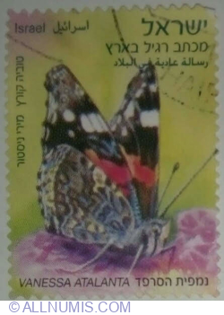 Image #1 of None º 2011 - Red Admiral (Vanessa atalanta)