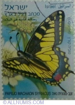 Image #1 of None º 2011 - Swallowtail (Papilio machaon ssp. syriacus)