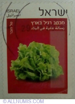 Image #1 of None º 2015 - Lettuce