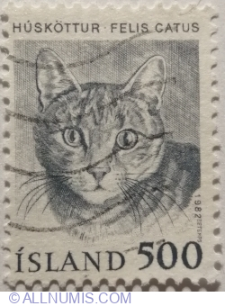 500 Eyrir 1982 - Domestic Cat (Felis silvestris catus)