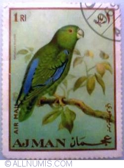Image #1 of 1 Riyal 1969 - Sclater's Parrotlet