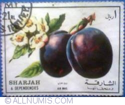 Image #1 of 1 riyal 1972 - Fruits-Air mail