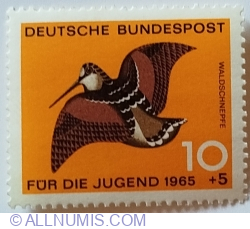 10+5 Pfennig 1965 - Eurasian Woodcock (Scolopax rusticola)
