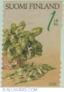 Image #1 of 1st Class º 2015 - Basil, Sage, Koriander