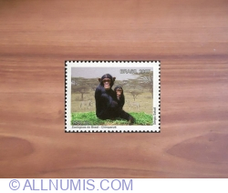 Image #2 of 0.60 Reals 2007 - Chimpanzee