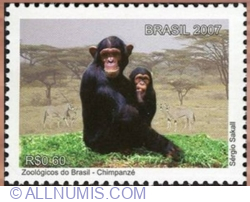 Image #1 of 0.60 Reals 2007 - Chimpanzee