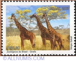 Image #1 of 0.60 Reals 2007 - Giraffe