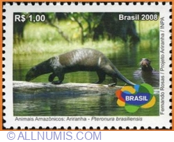 Image #1 of 1 Real 2008 - Ariranha - Amazon Animals