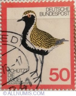 Image #1 of 50 Pfennig 1976 - European Golden Plover (Pluvialis apricaria)