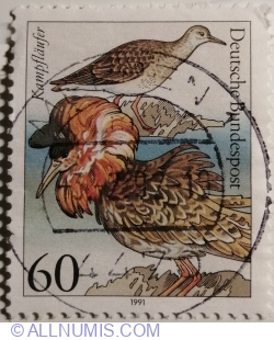 Image #1 of 60 Pfennig 1991 - Lișița eurasiatică (Fulica atra) - Chick Animal Protection.