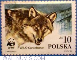 Image #1 of 10 zloty 1985 - Canis lupus